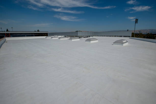 Best 4 Ply Roofing  in North Alamo, TX