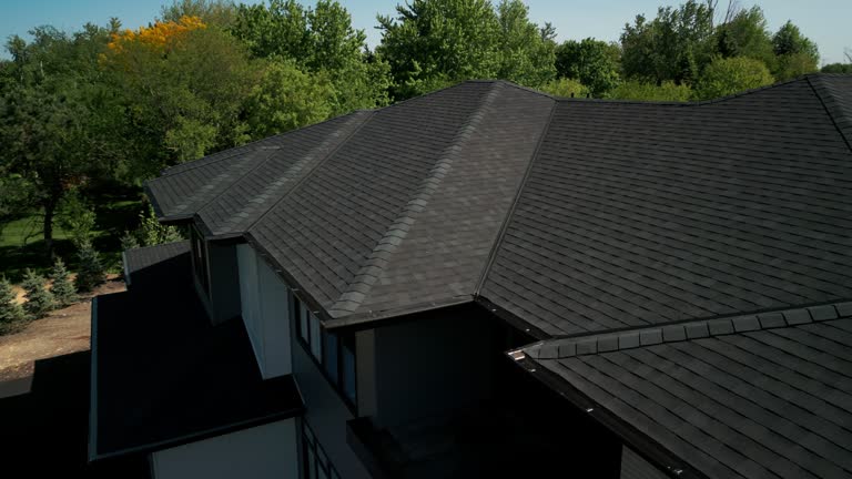 Sheet Metal Roofing in North Alamo, TX